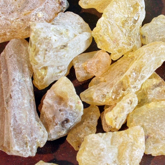 Mexican Gold Copal 40g