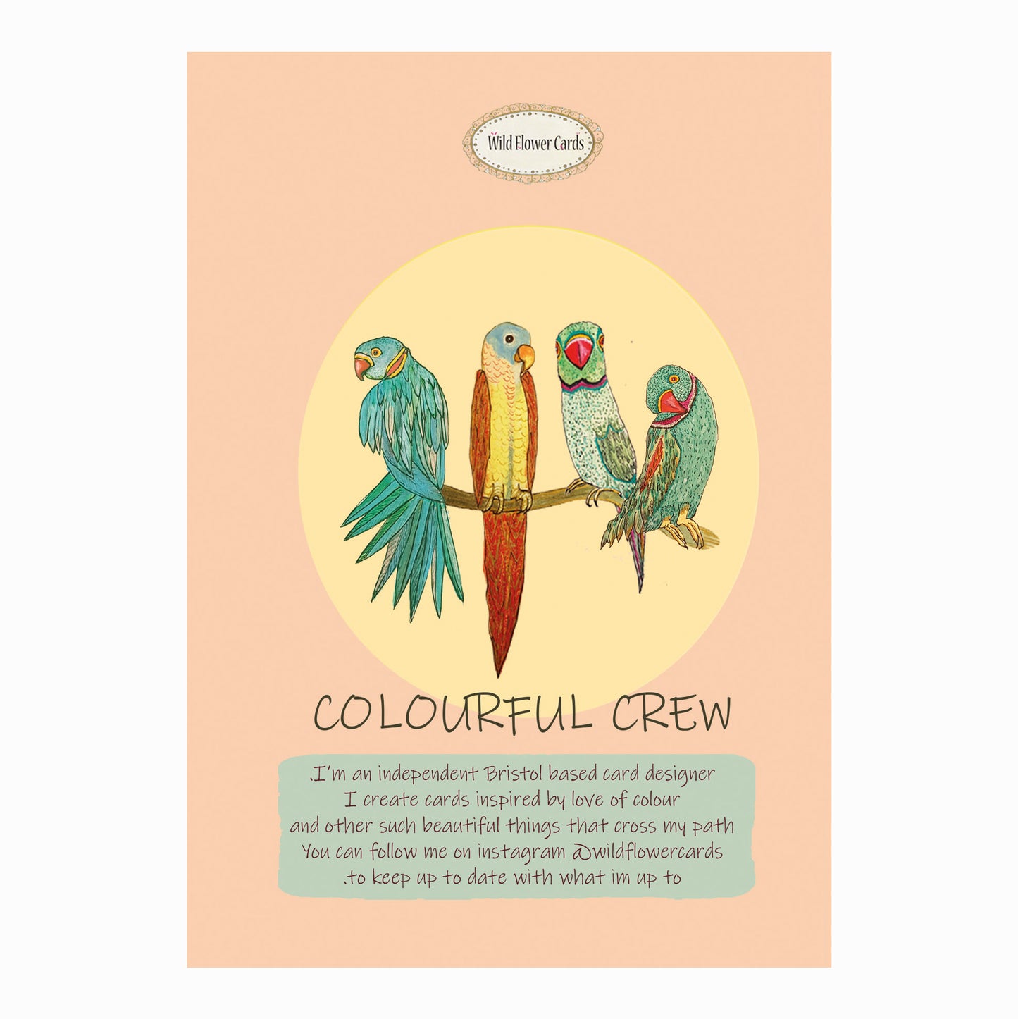 Colourful Crew Card