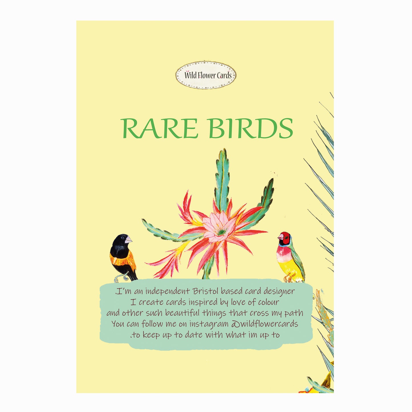 Rare Birds Card